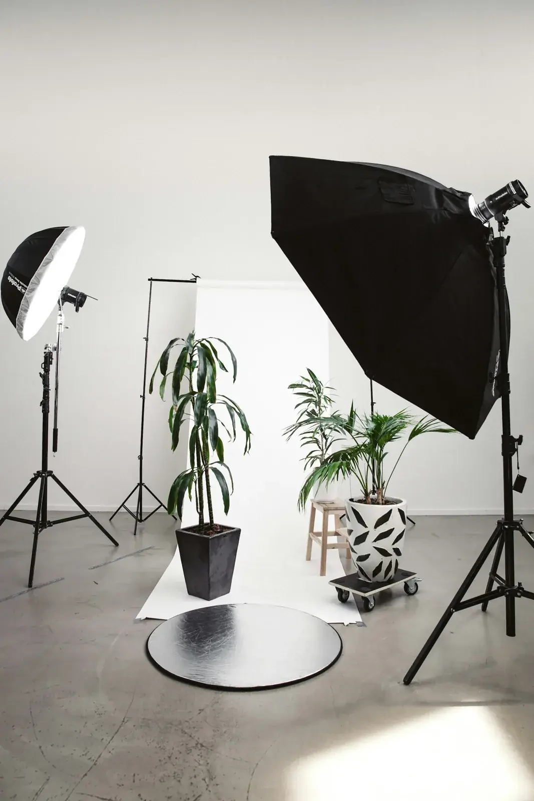 LED studio light with softbox